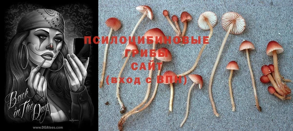 меф Приозерск