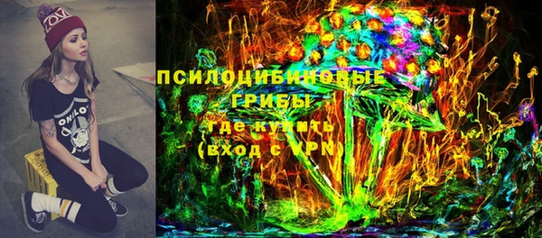 индика Кукмор