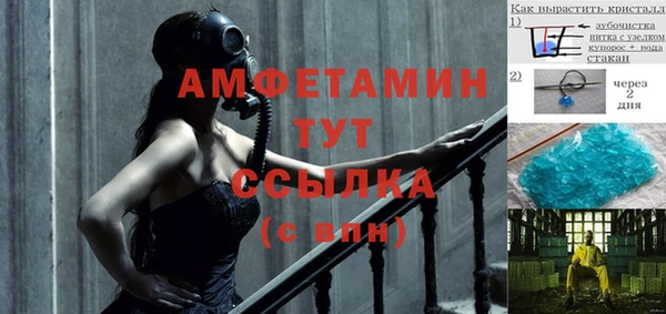 индика Кукмор