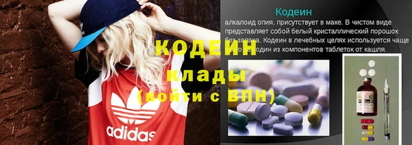 индика Кукмор